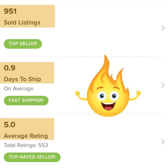 5 โญ๏ธ Posh Ambassador II - Picture 13 of 13